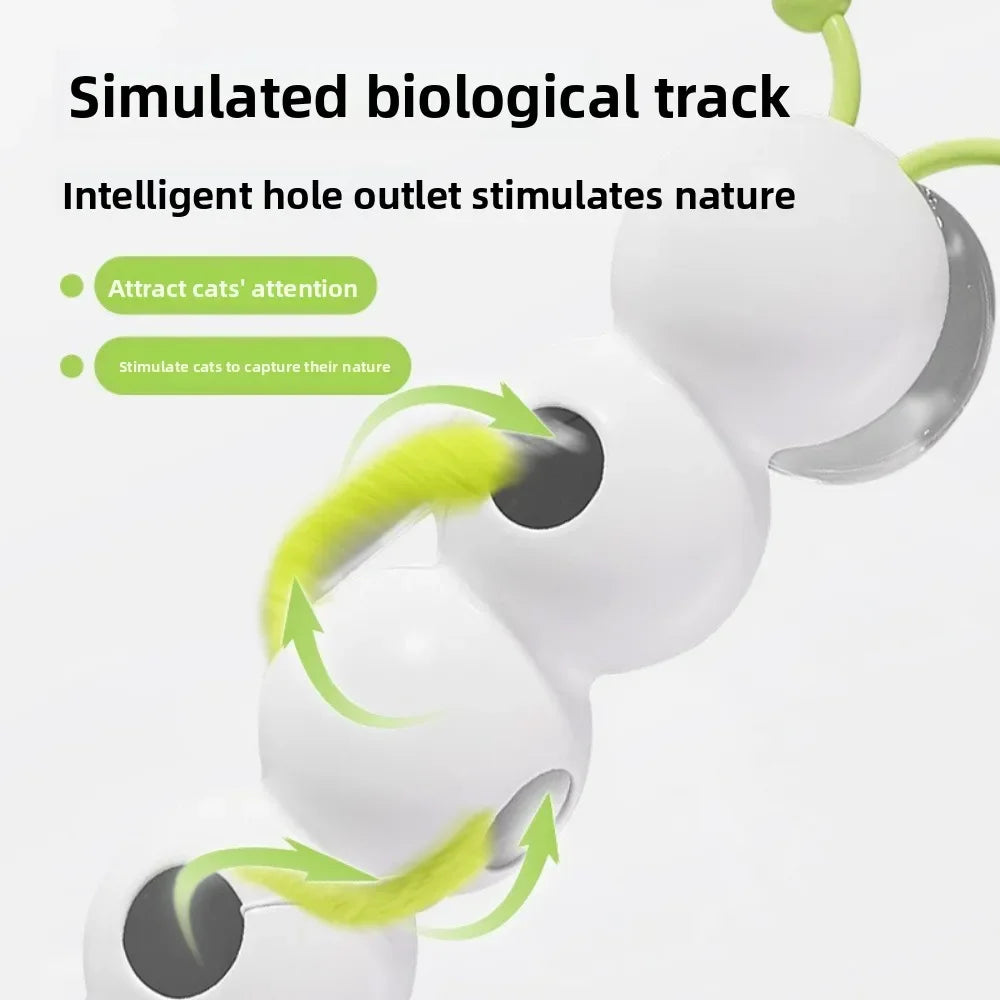 Interactive Worm Toy