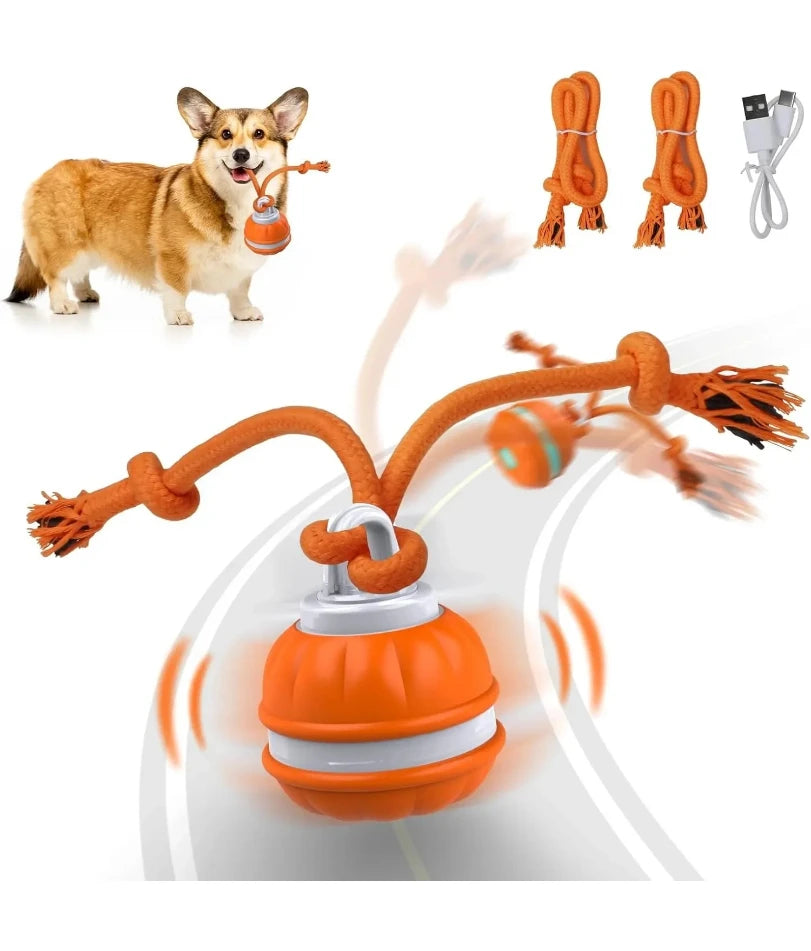 Interactive Rechargeable Dog Toy Ball with Swinging Rope