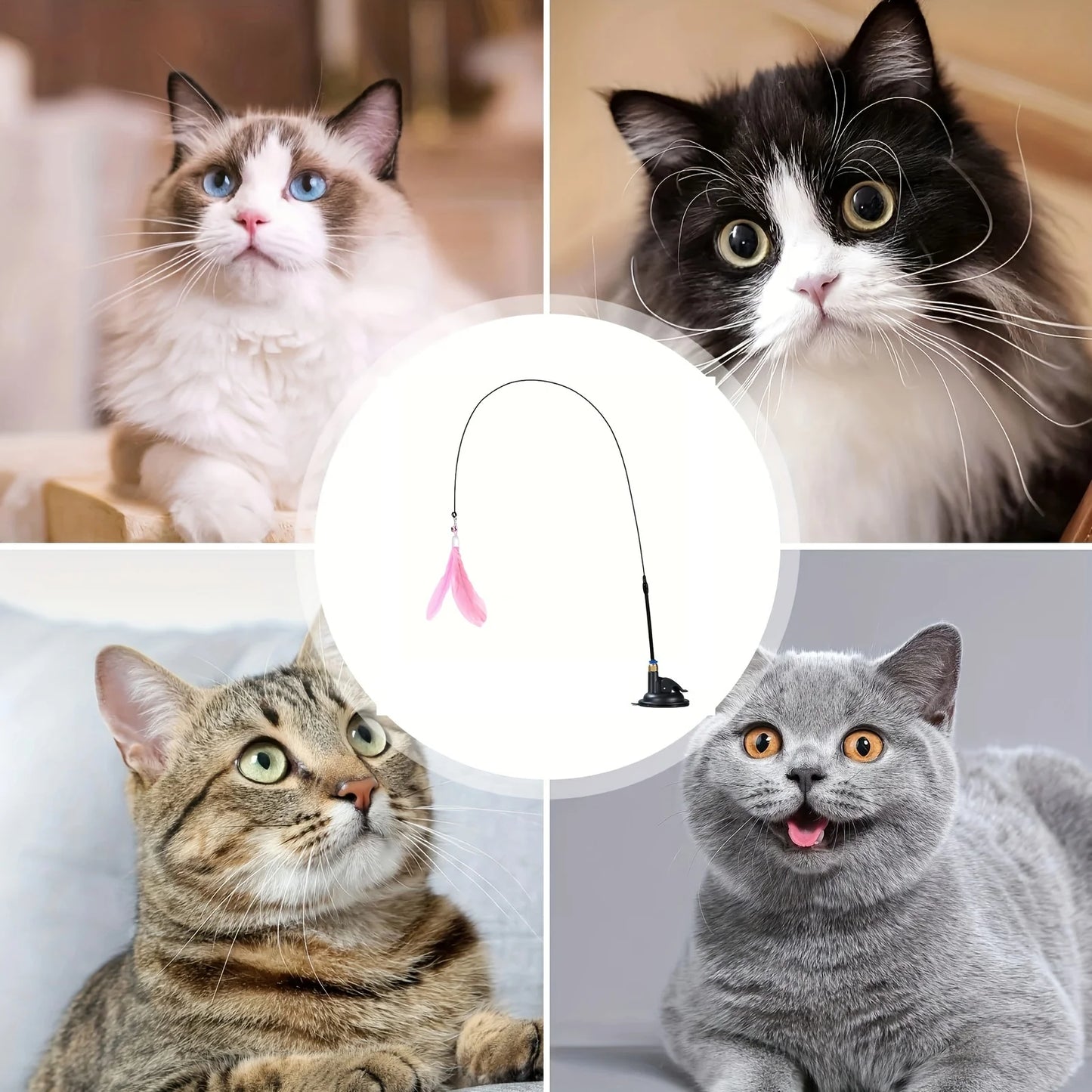 Petzrella Saugnapf Flexibler Zauberstab Teaser für Katzen