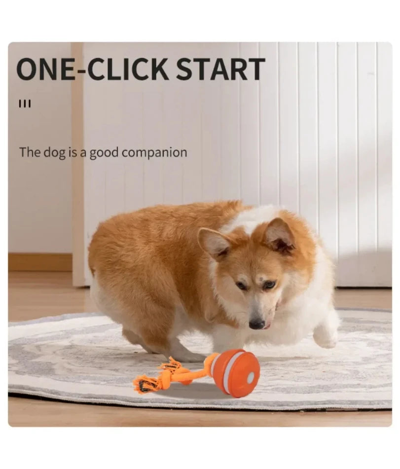 Interactive Rechargeable Dog Toy Ball with Swinging Rope