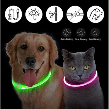 Petzrella LED Pet Collar – USB Rechargeable Night Safety