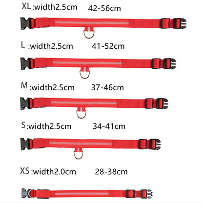 Petzrella LED Clip-On Sicherheitslicht für Haustiere