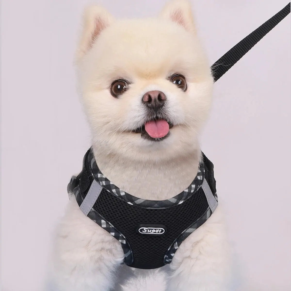 Puppy Dog Harness