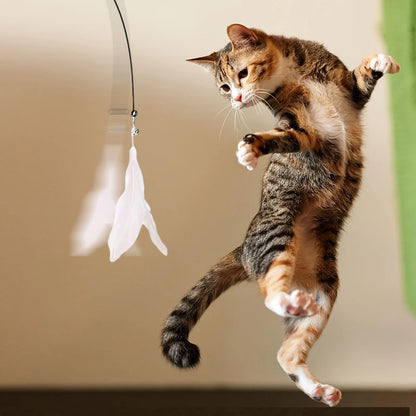 Petzrella Saugnapf Flexibler Zauberstab Teaser für Katzen