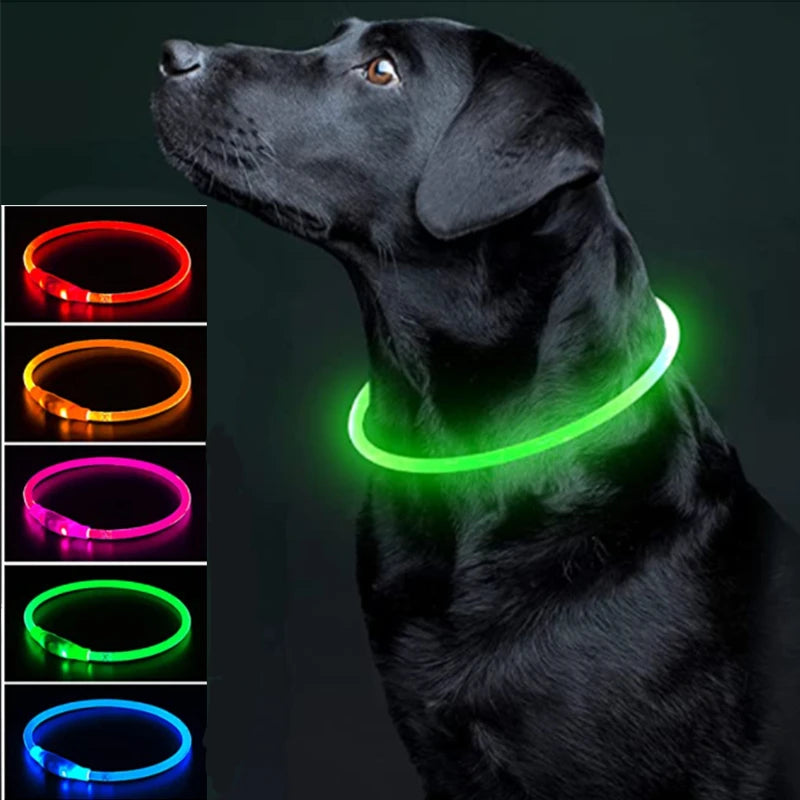Petzrella LED Pet Collar – USB Rechargeable Night Safety