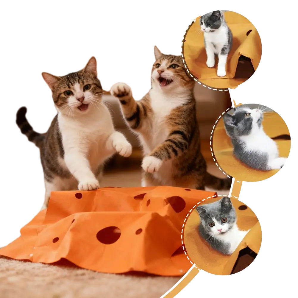 Petzrella Tunnel Play Mat for Cats