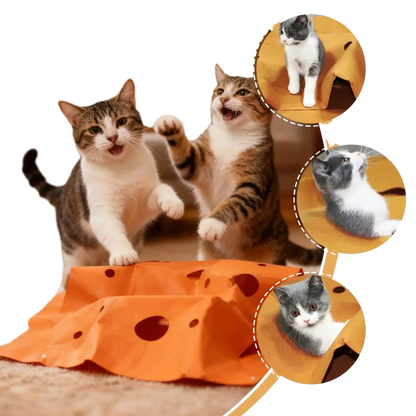 Petzrella Tunnel Play Mat for Cats