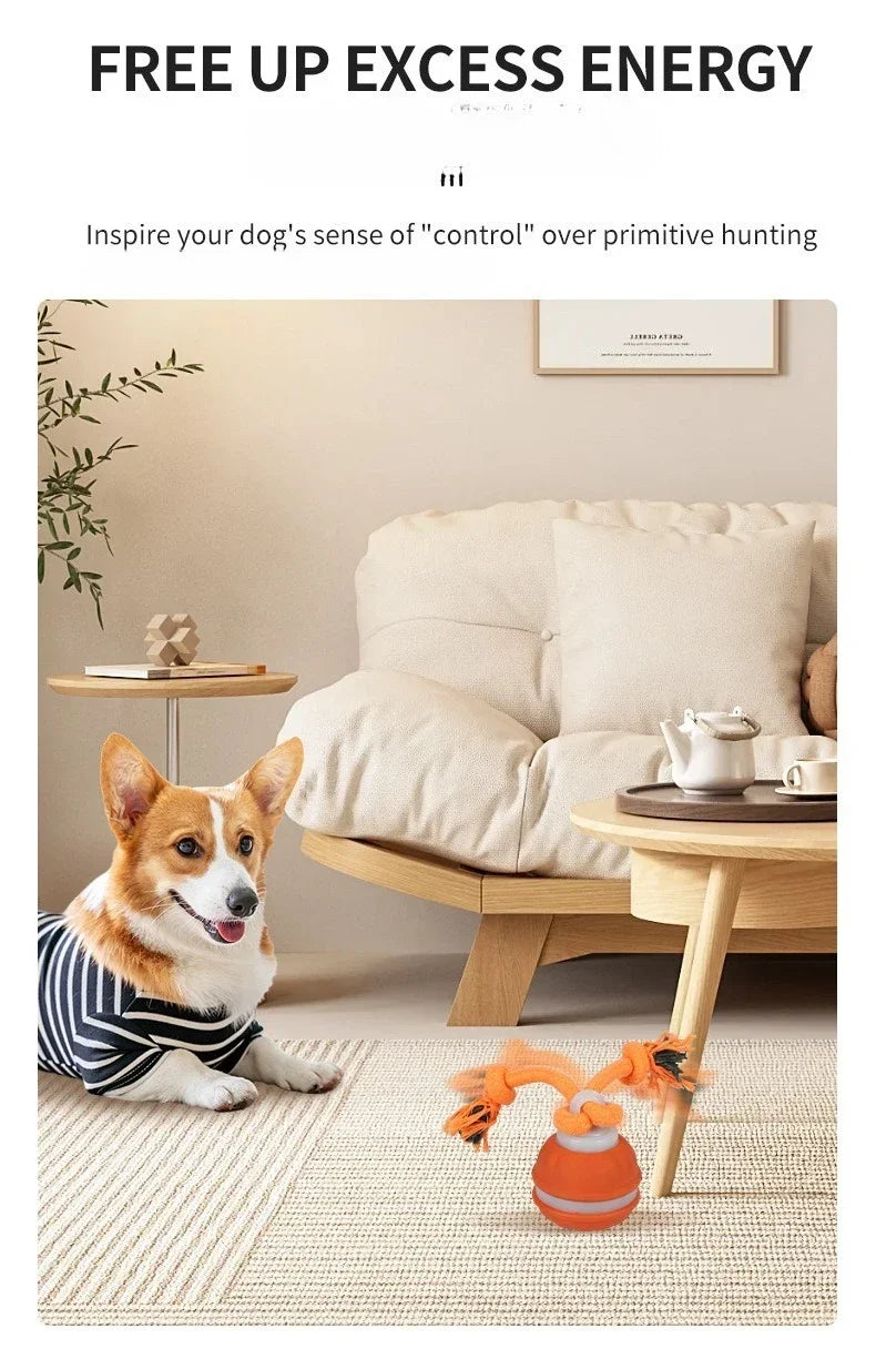 Interactive Rechargeable Dog Toy Ball with Swinging Rope