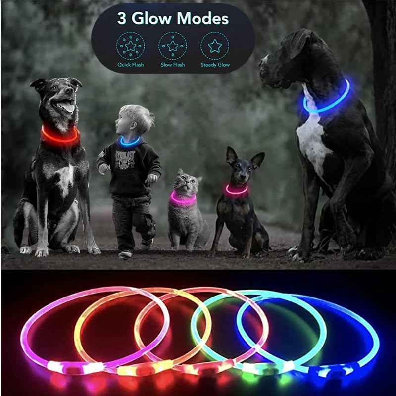 Petzrella LED Pet Collar – USB Rechargeable Night Safety