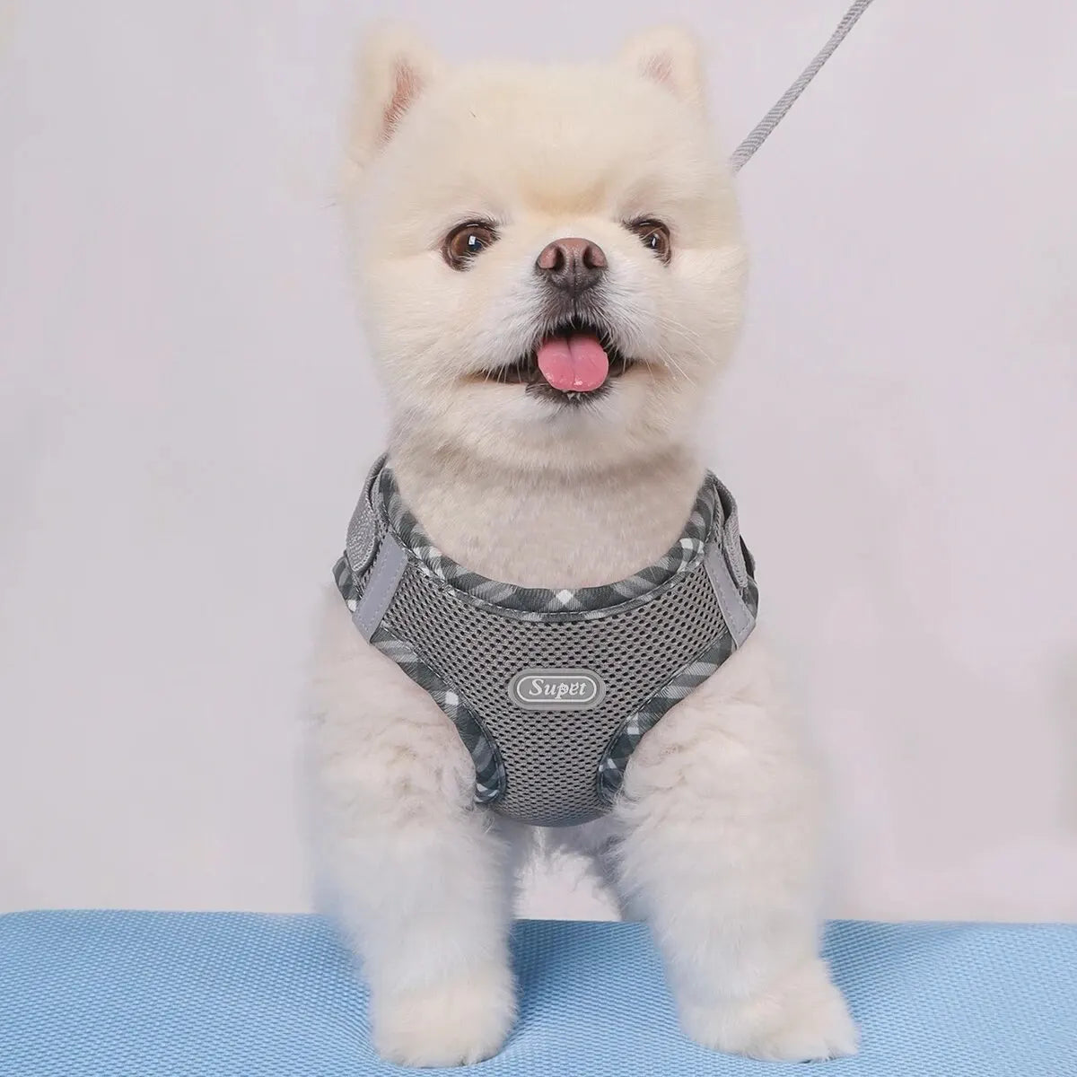 Puppy Dog Harness