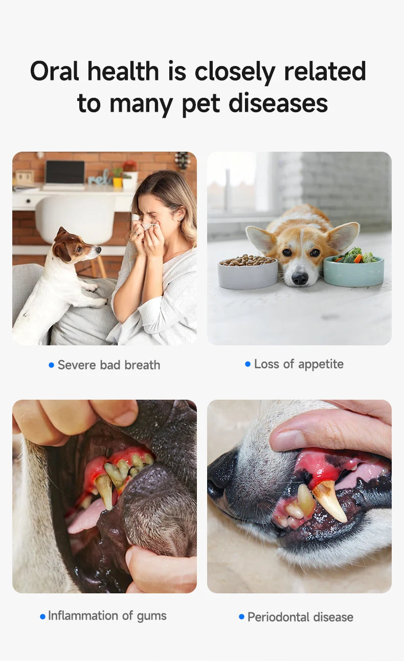 Ultrasonic Pet Dental Plaque Remover for Dogs and Cats