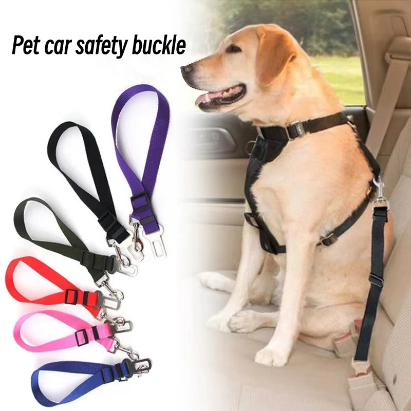 Safety Harness