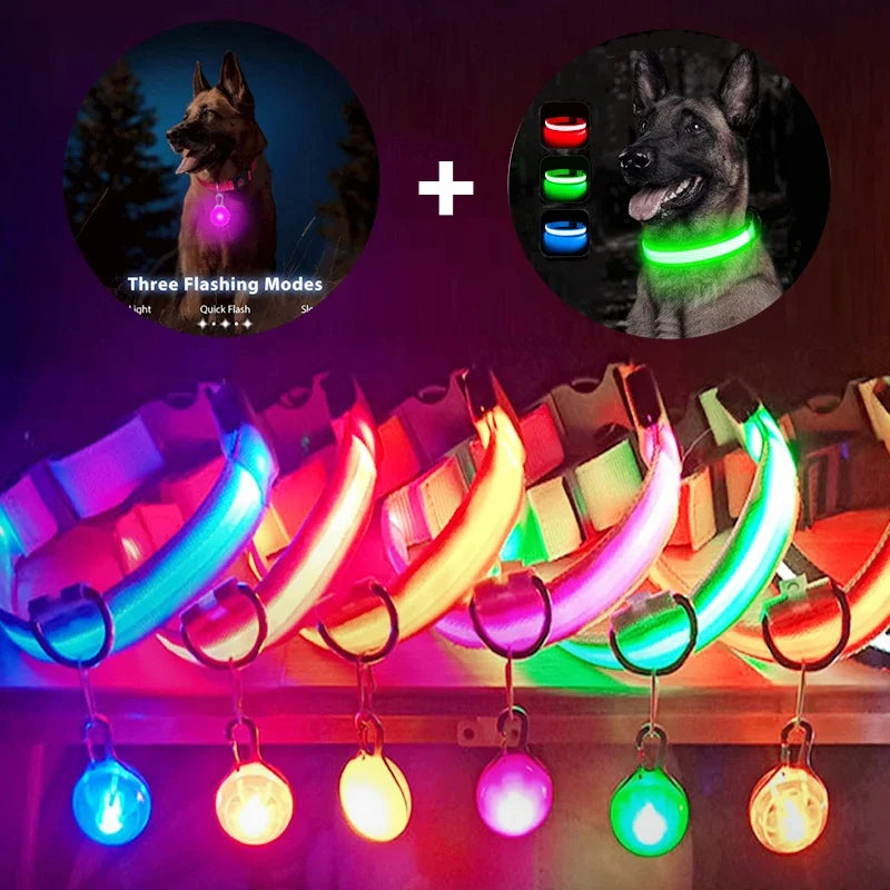 LED Light-Up Safety Collar