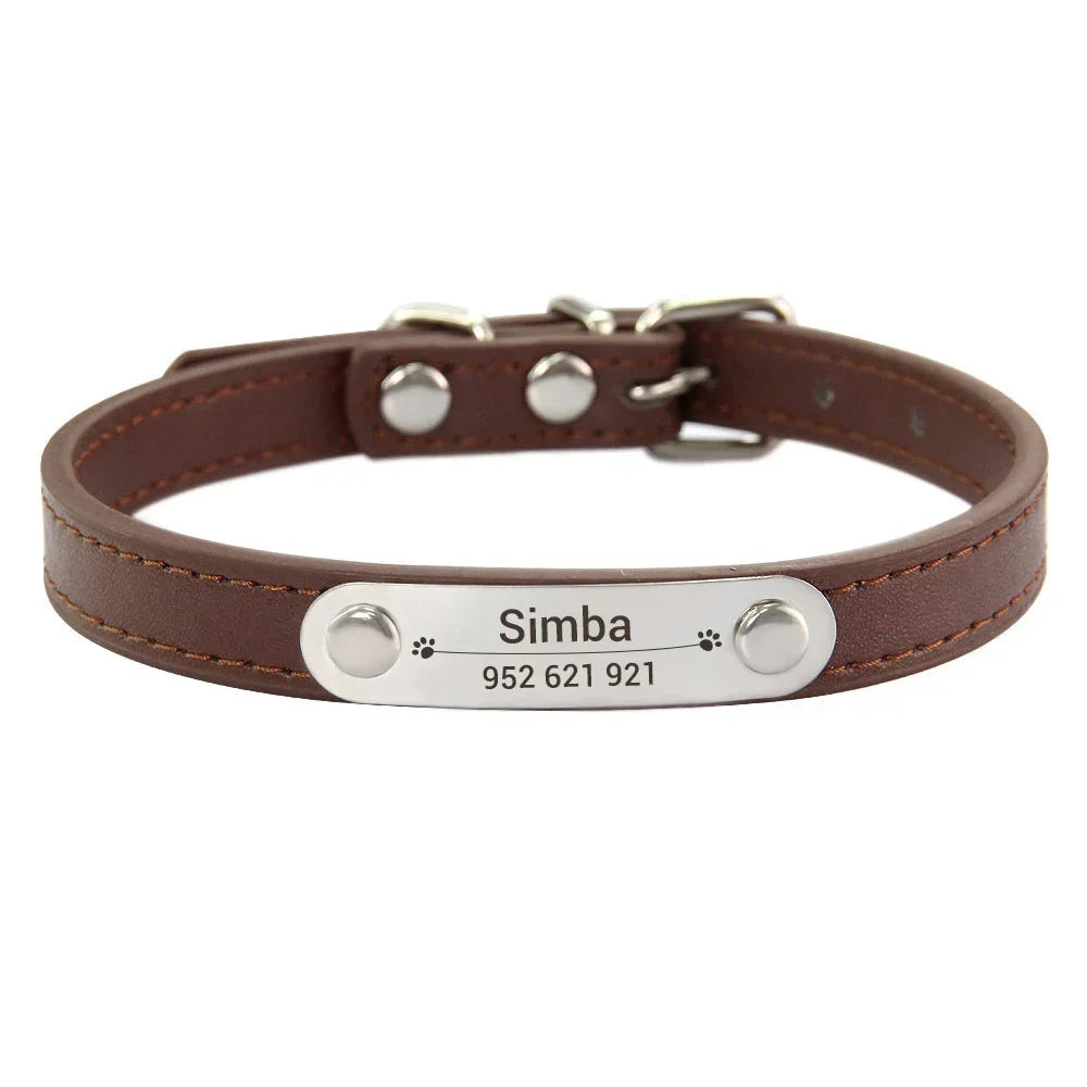Personalised Collar