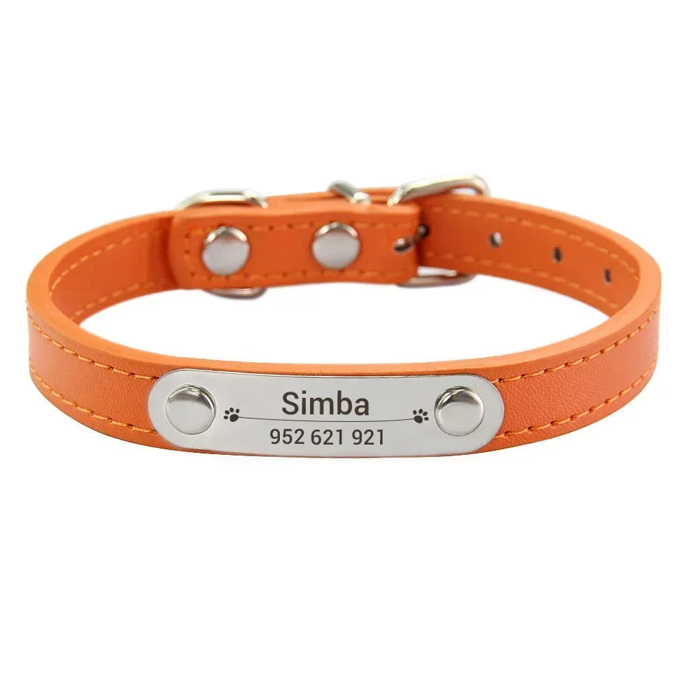 Personalised Collar