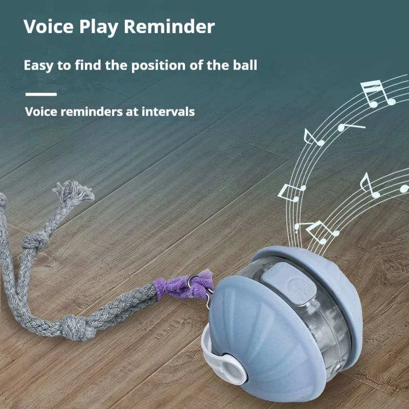Automatic Interactive Cat Ball Toy