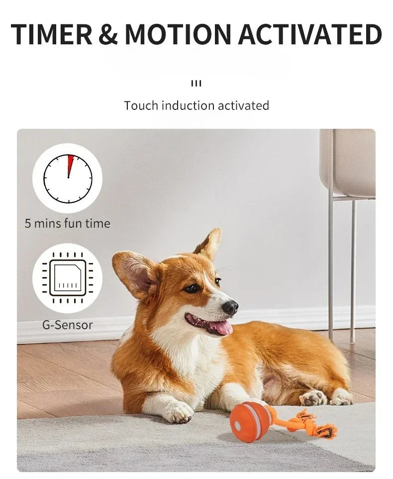 Interactive Rechargeable Dog Toy Ball with Swinging Rope