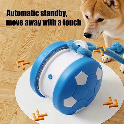 Petzrella Smart Rolling Dog Ball with Tail Rope