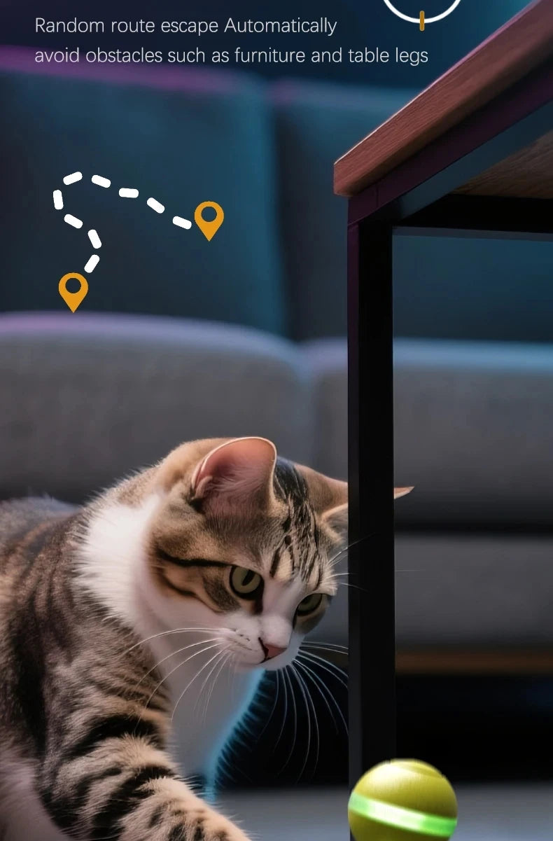 Intelligent Rechargeable Cat Toy Ball with Dual Play Modes
