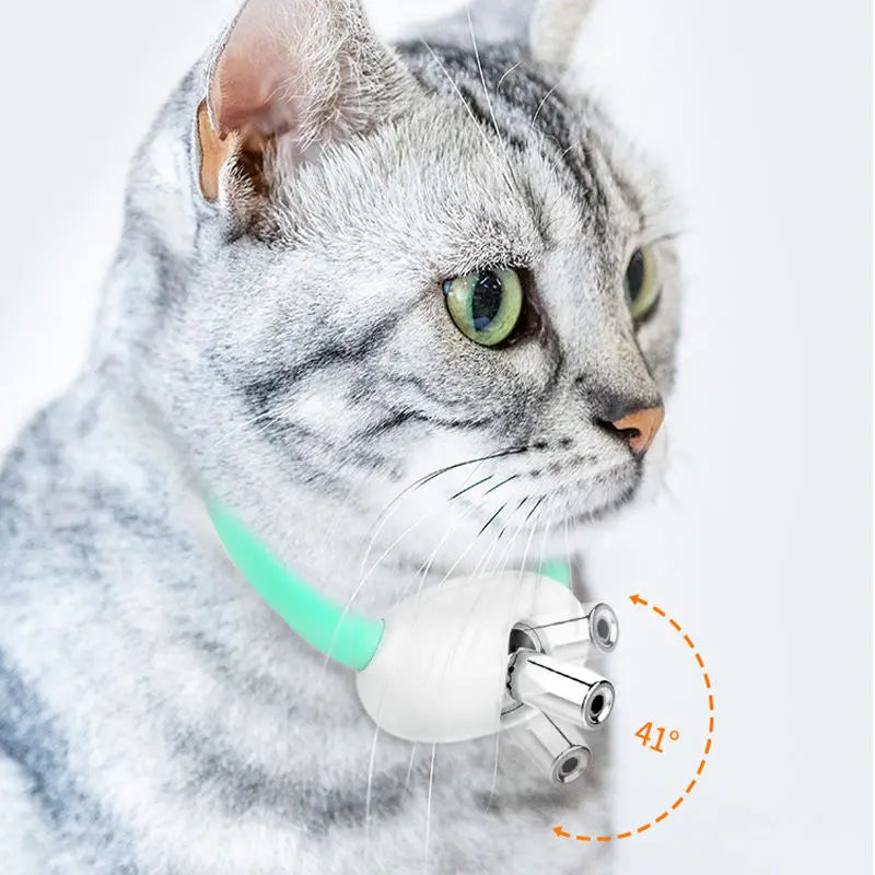 Wearable Laser Collar Toy for Cats