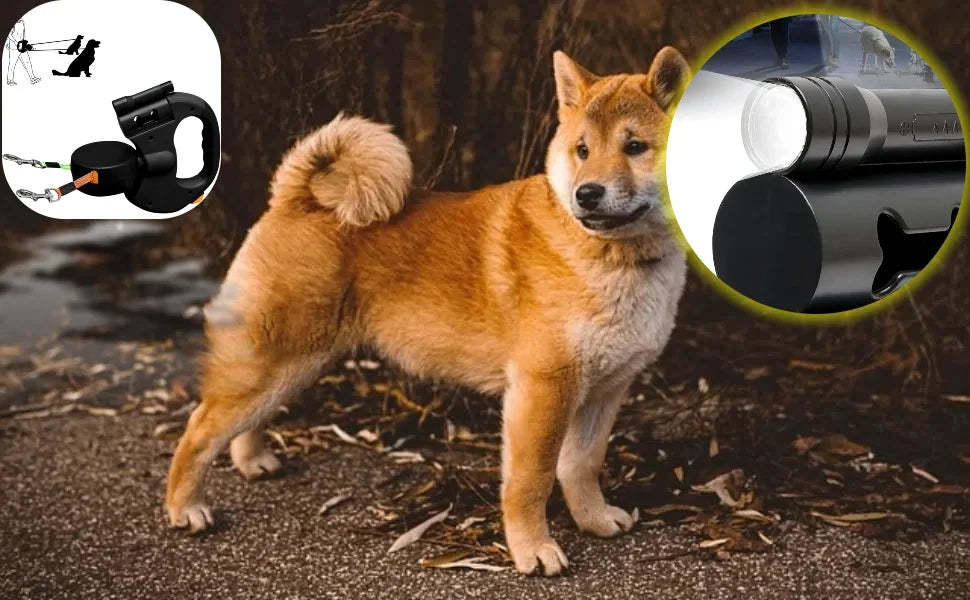 Double Retractable Dog Leash for Two Dogs