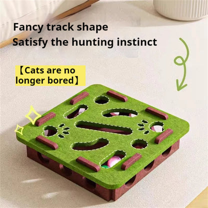 Interactive Cat Puzzle Maze – Enrichment Toy for Smart Indoor Play