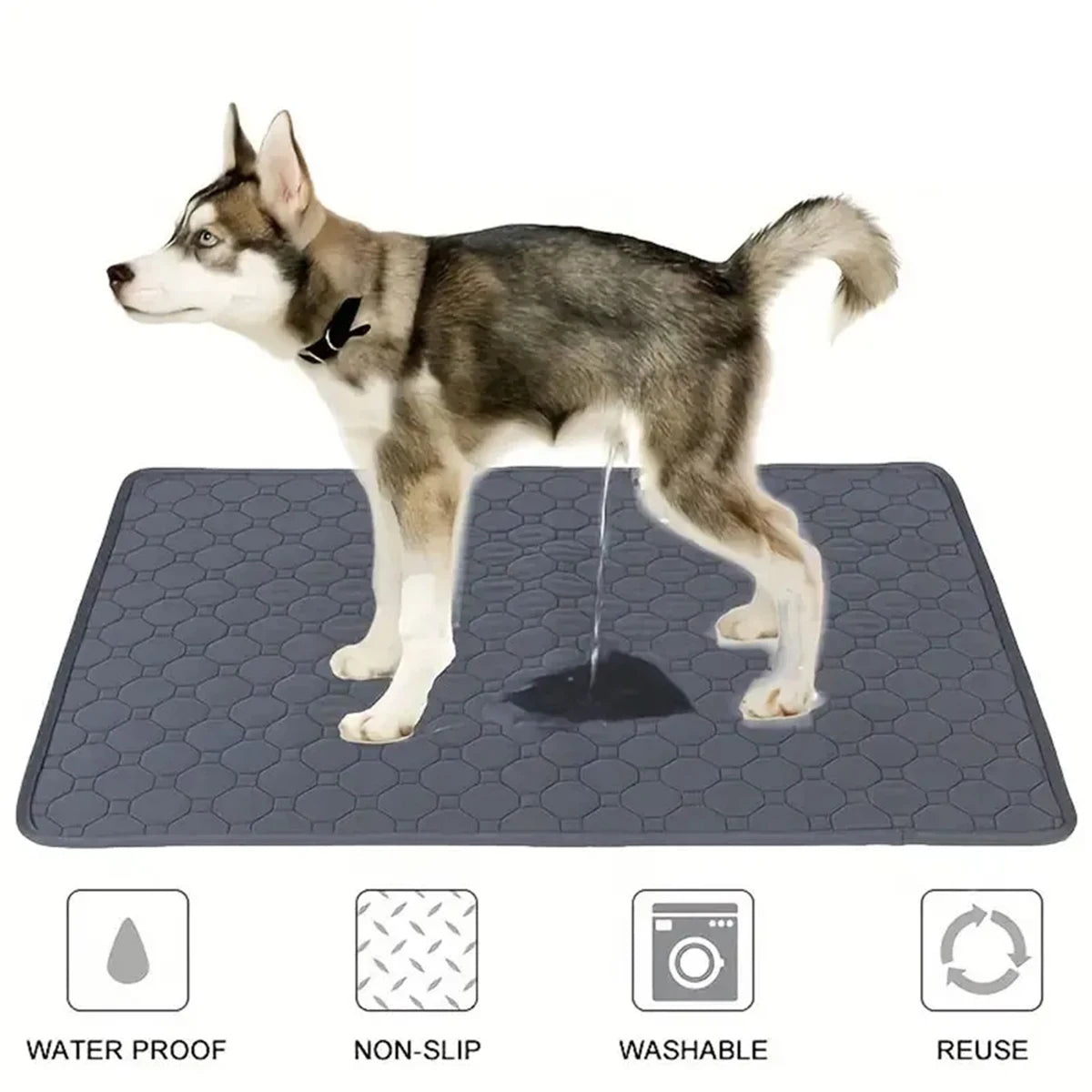 Dog Pee Pad
