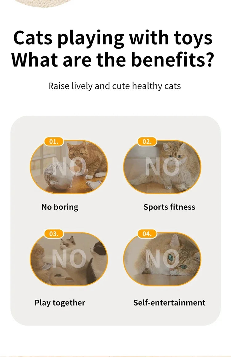 Electric Feather Cat Toy