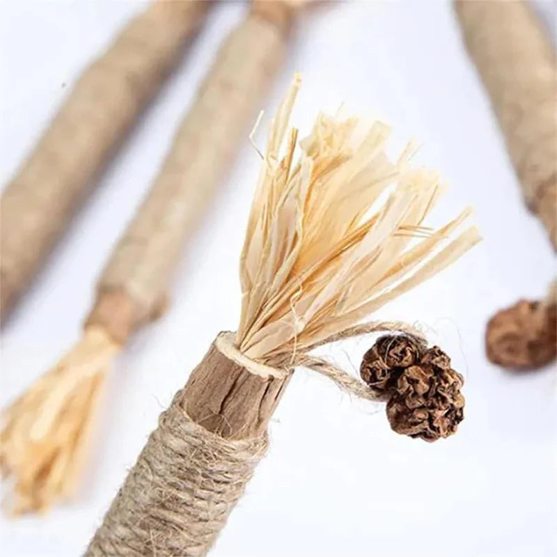 Cat Dental Grinding Chew Sticks for Teeth & Gums