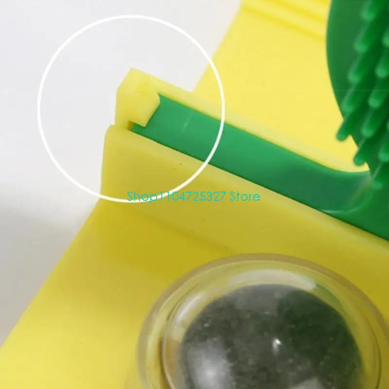 Turn Any Corner Into a Cat Spa