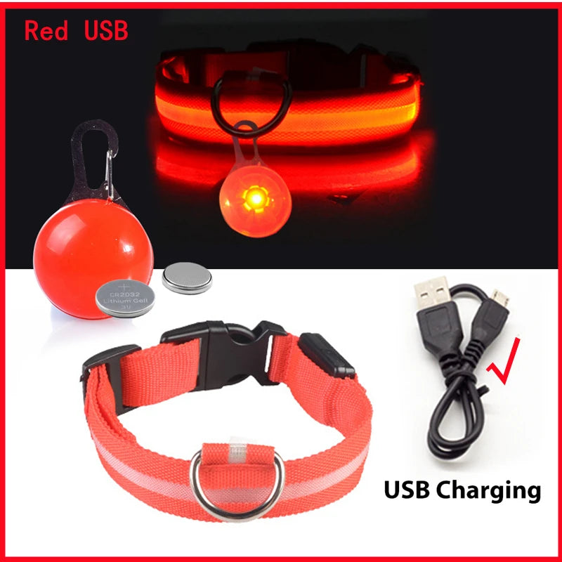 LED Light-Up Safety Collar