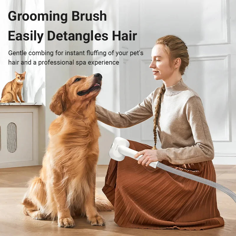 Pet Hair Dryer