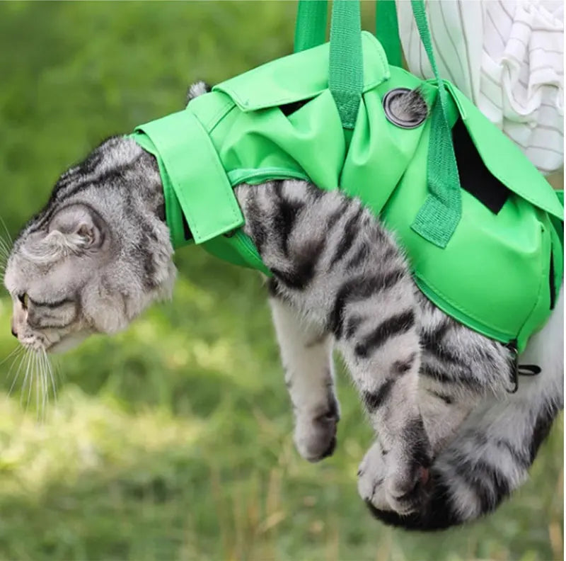 Foldable Breathable Cat Carrier Backpack