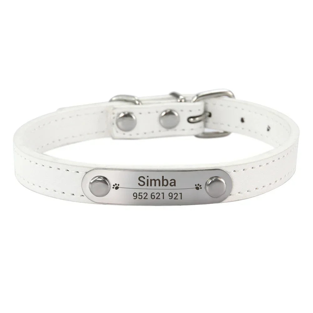 Personalised Collar