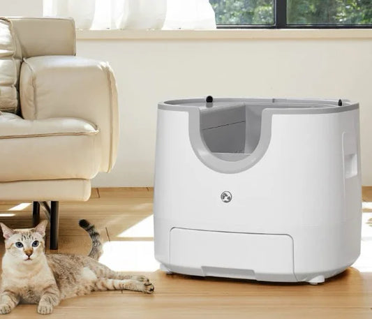 Automatic Litter Box
