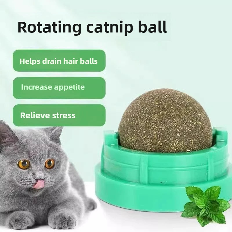 Catnip Dental Toy Set
