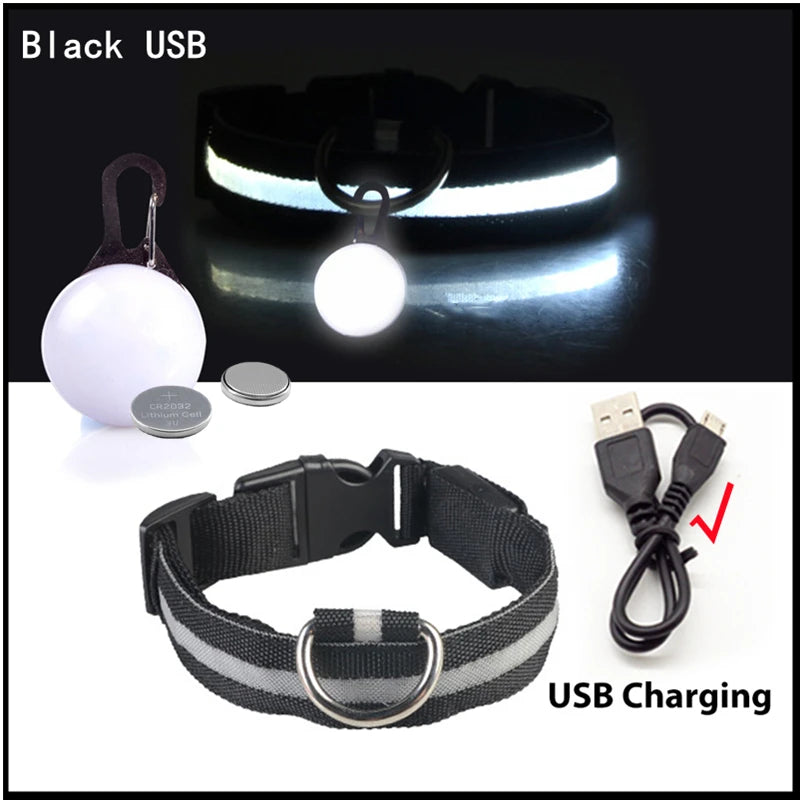 LED Light-Up Safety Collar