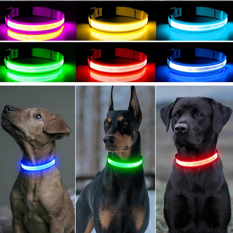 LED Light-Up Safety Collar