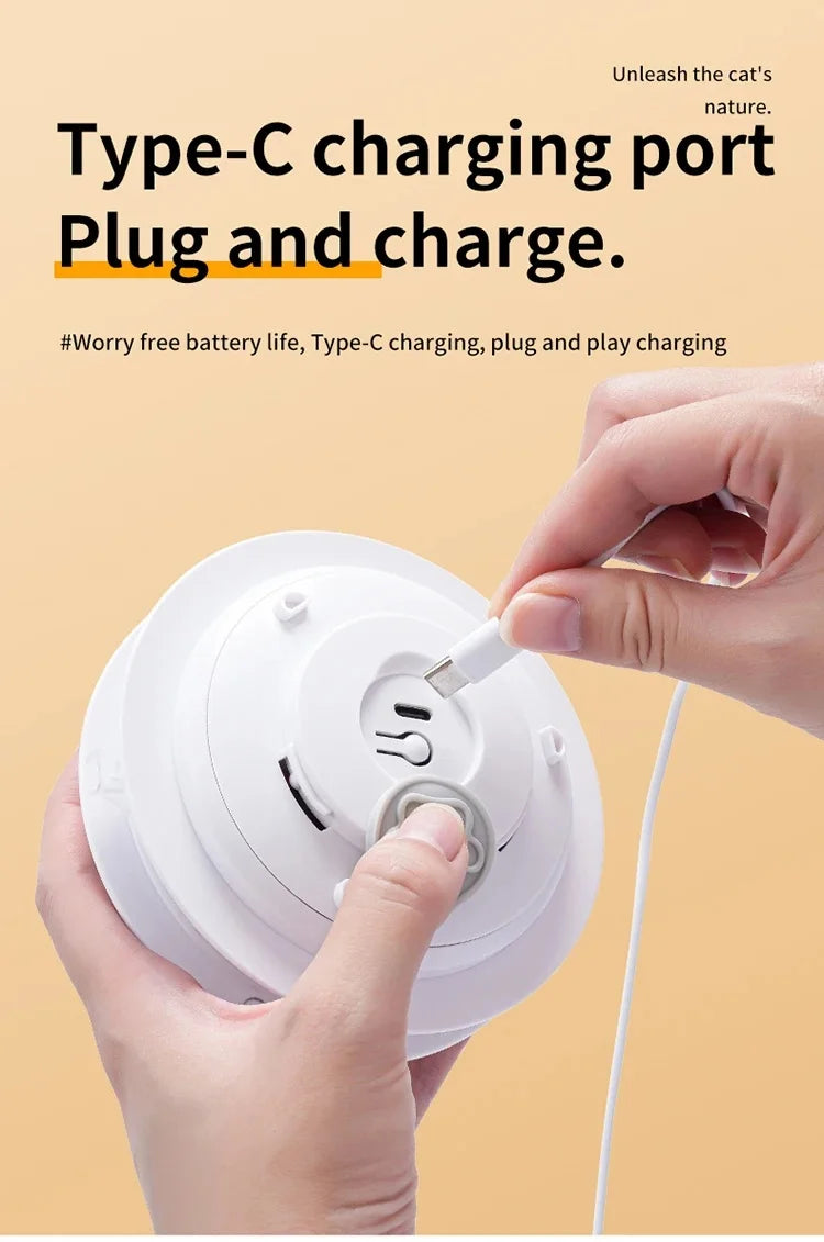 Electric Feather Cat Toy