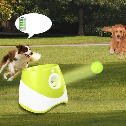 Automatic Dog Tennis Ball Launcher for Interactive Fetch Play