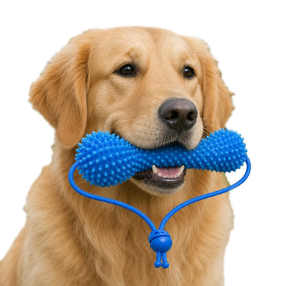 Petzrella Dog Toothbrush Chew Toy – Dual-Action Dental Cleaning for Dogs
