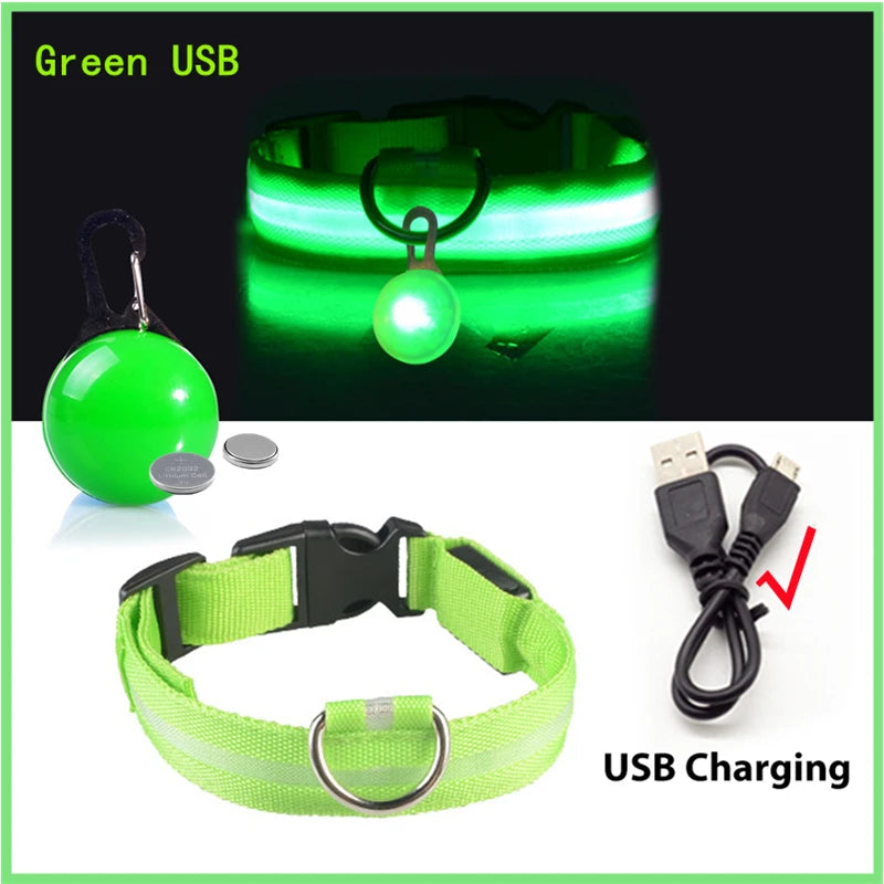 LED Light-Up Safety Collar