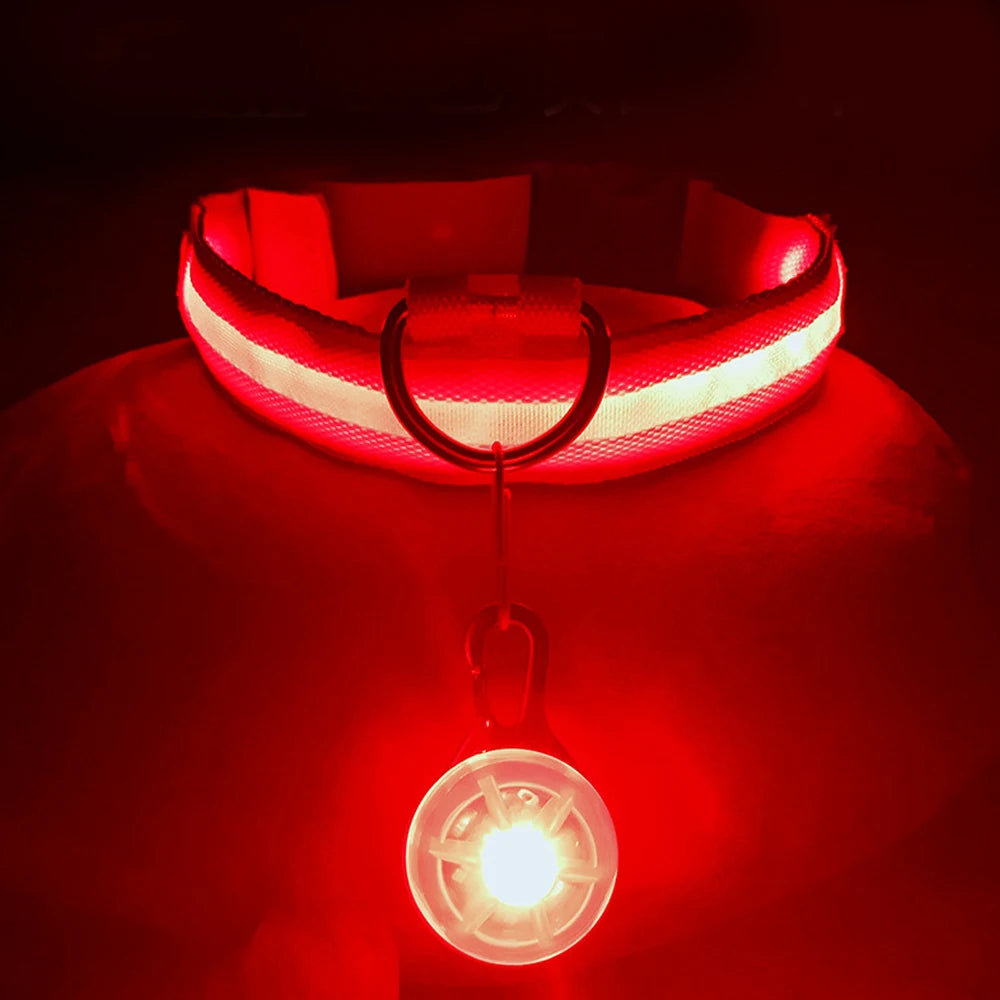 LED Light-Up Safety Collar