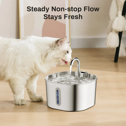 Trinkbrunnen aus Edelstahl für Katzen und Hunde