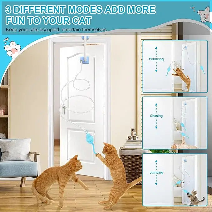 Door-Mounted Interactive Cat Teaser