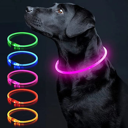 Petzrella LED Pet Collar – USB Rechargeable Night Safety