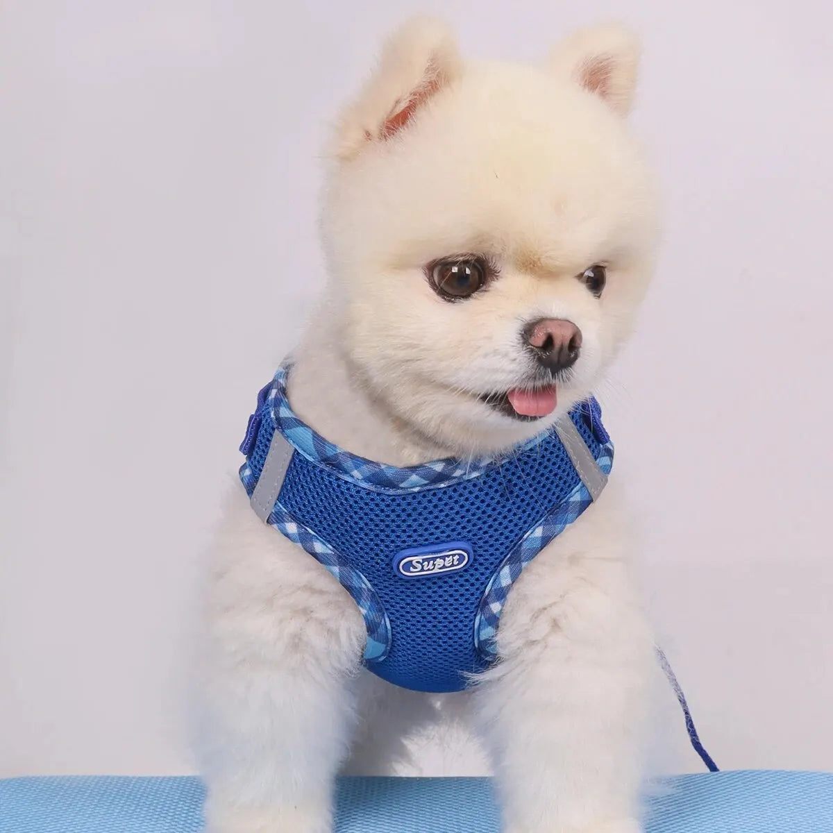 Puppy Dog Harness
