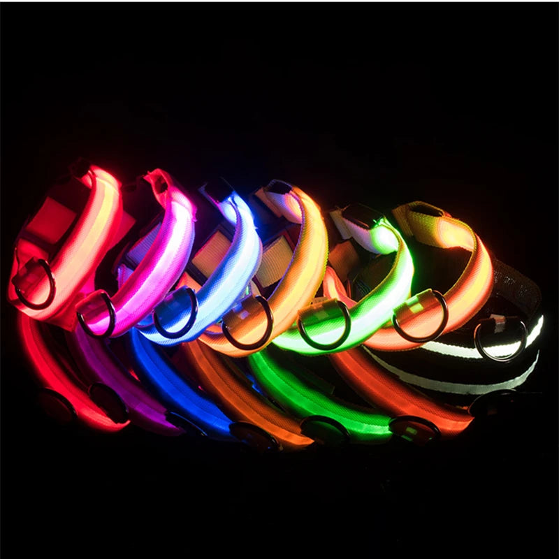 LED Light-Up Safety Collar