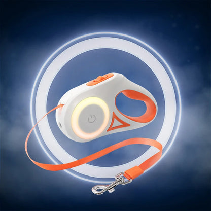 Safer Night Walks Start Here