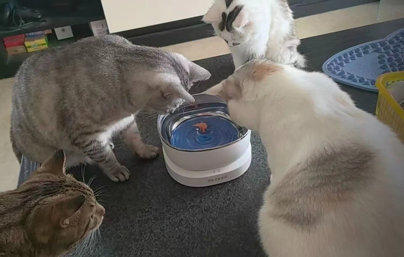 Petzrella Magnetic Cat Water Fountain – Wireless, Filter-Free & Ultra-Quiet